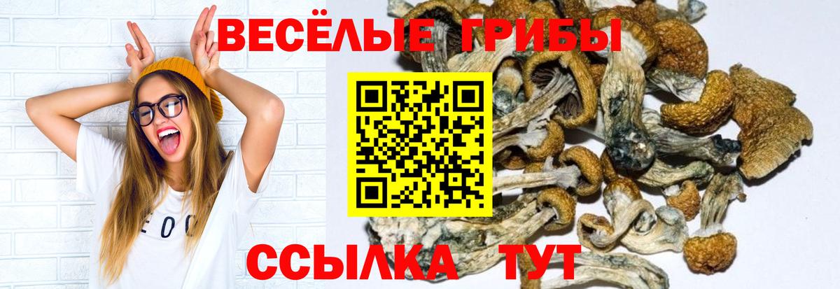 Галлюциногенные грибы Psilocybe  купить закладку  Крымск  Вход с VPN 